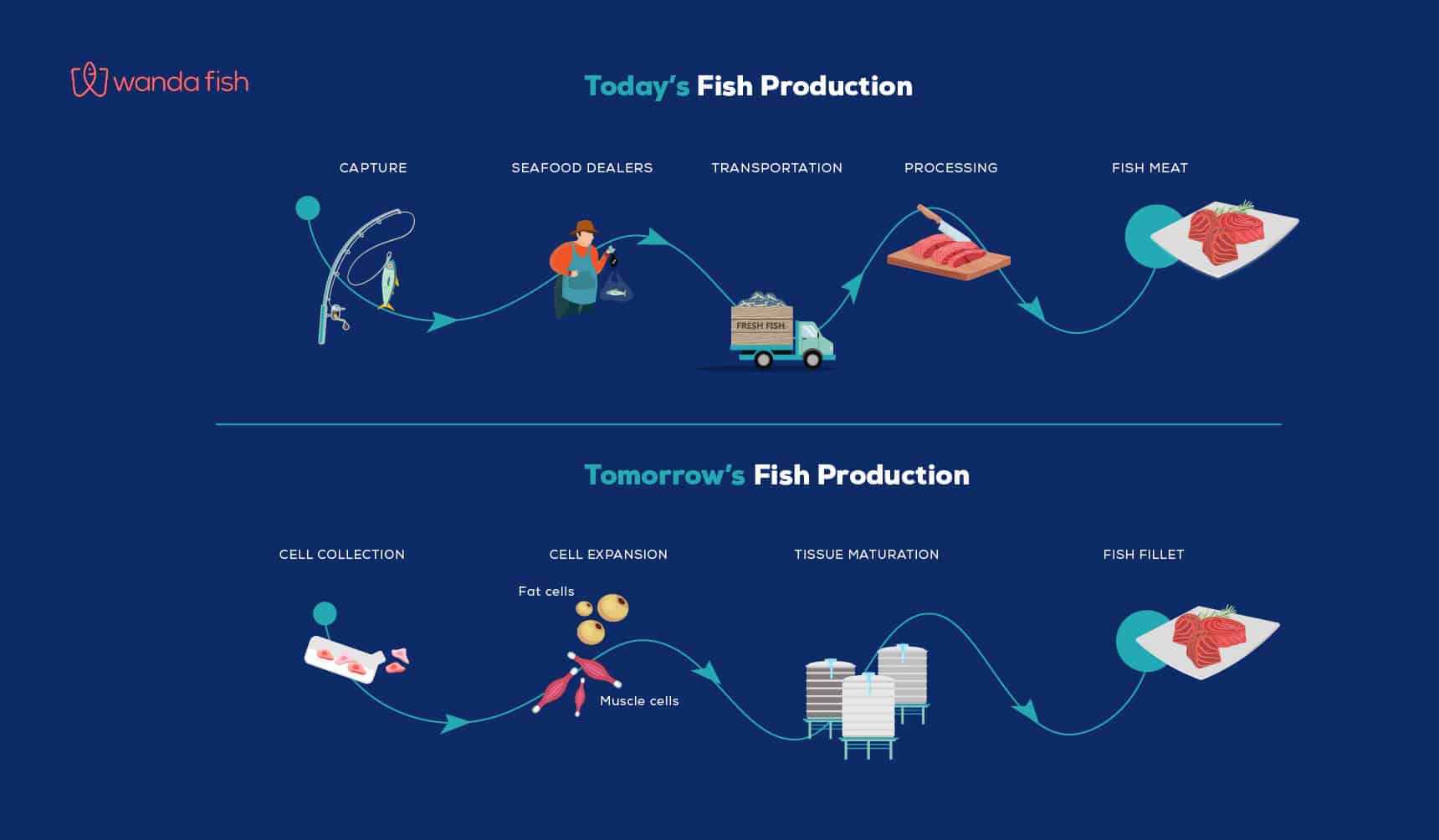 Wanda Fish Technologies