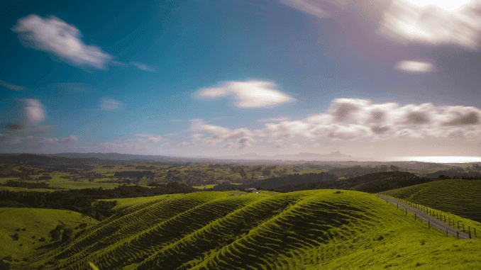 New Zealand, James Cameron, Peter Jackson, plant-based food business