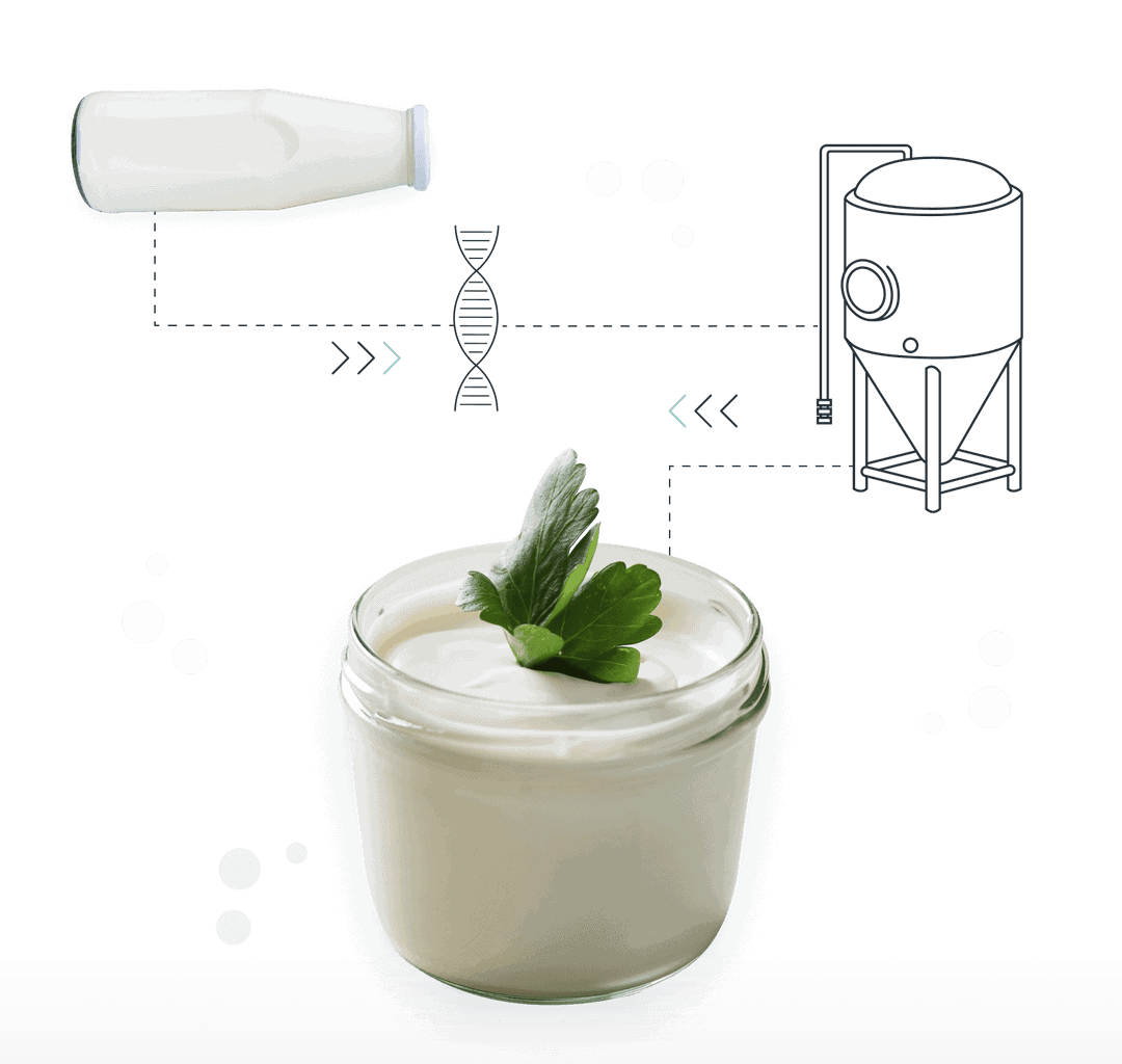 Vivici fermentation process