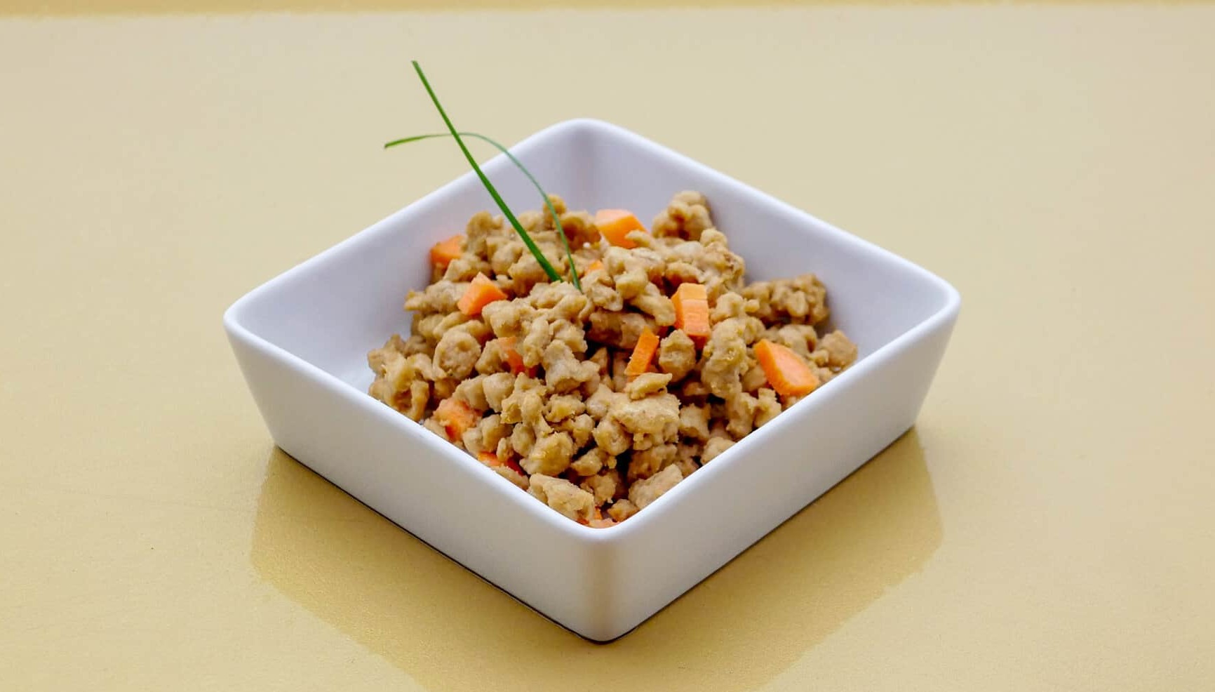 Cultivated cat food/ pet food in a dish