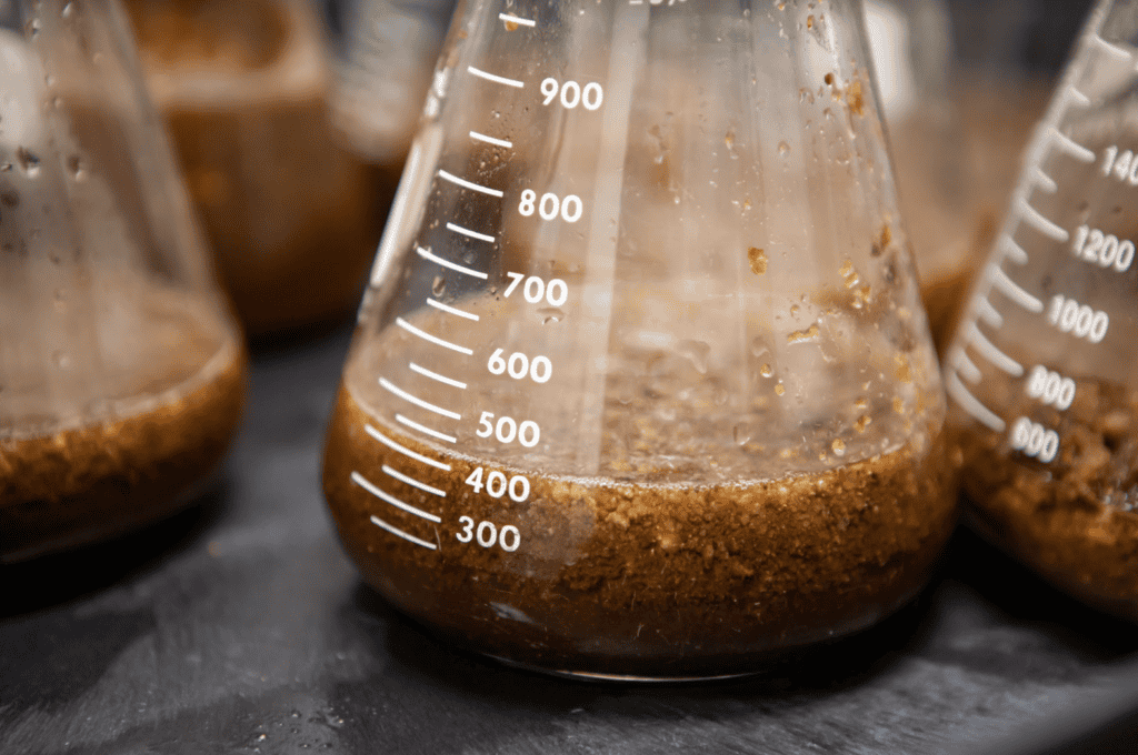 California Cultured and UC Davis Team Up to Bring Lab-Grown Cocoa Closer to Market