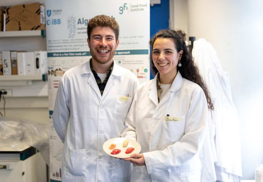 Afonso-Gusmao and Diana Marques showing cultivated sea bass prototypes.