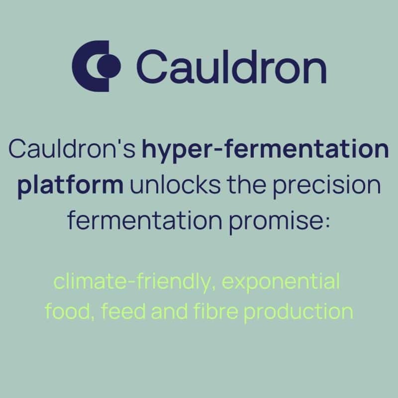 Cauldron's banner fermentation process