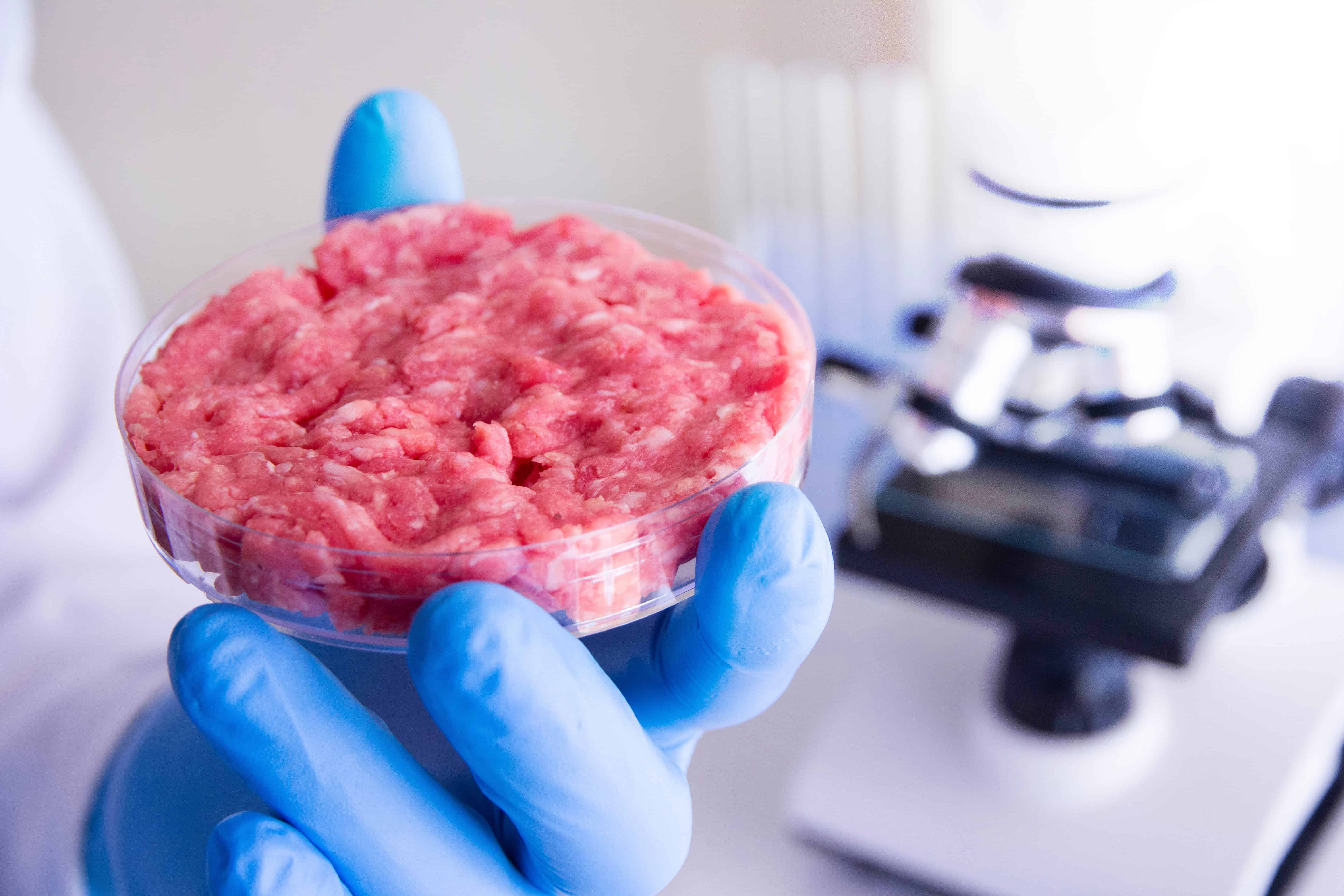 cultivated meat