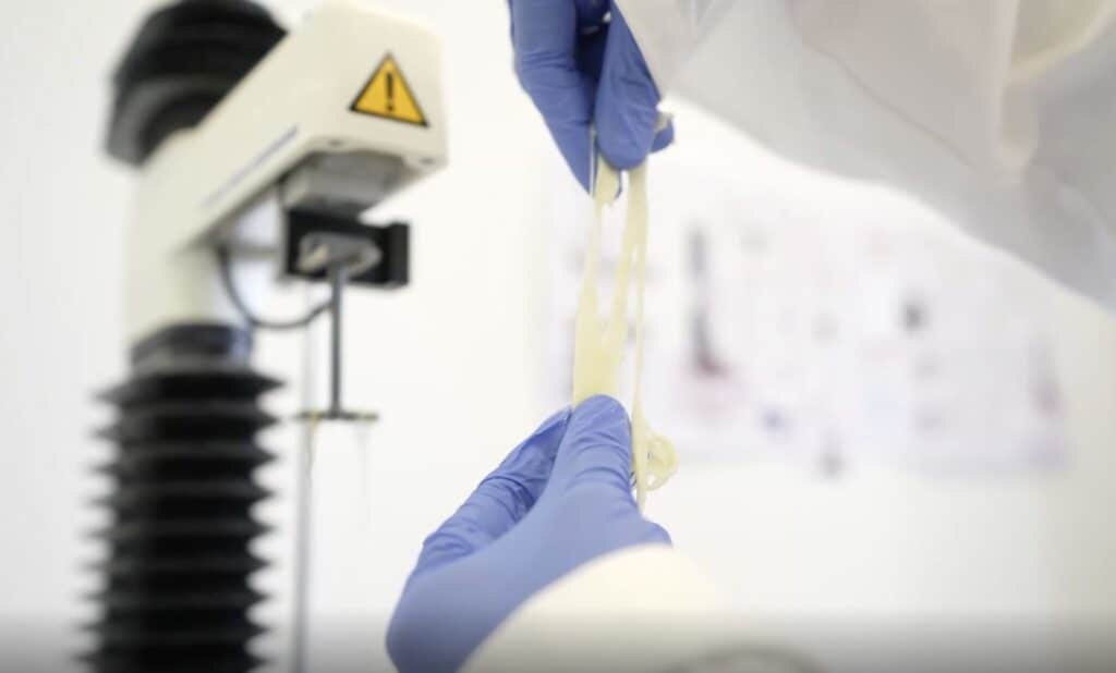 Fermify Becomes First to Submit Regulatory Dossier for Animal-Free Casein in Singapore – vegconomist