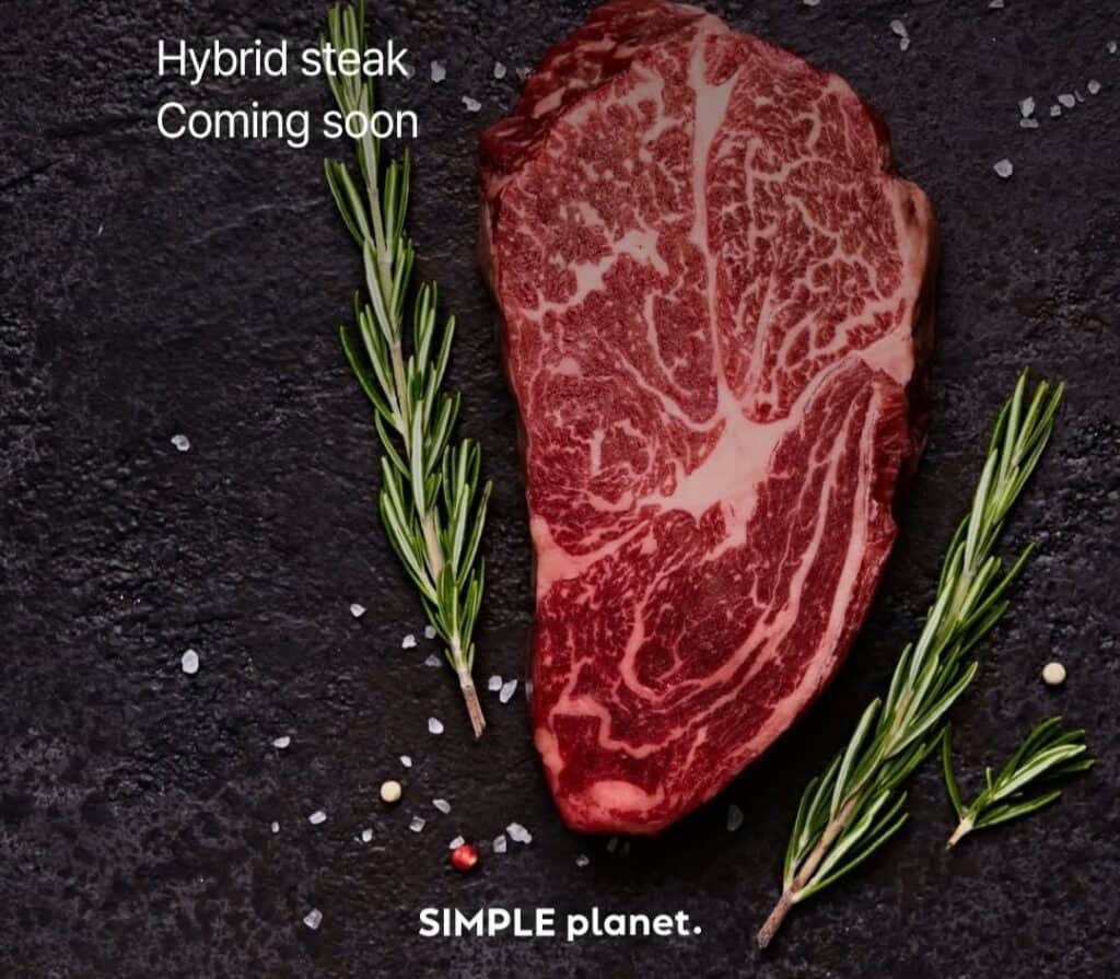 Simple Planet steak