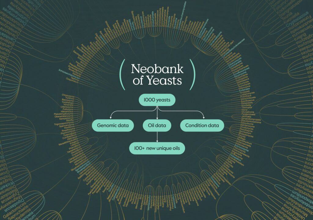 SMEY Neobank of Yeasts