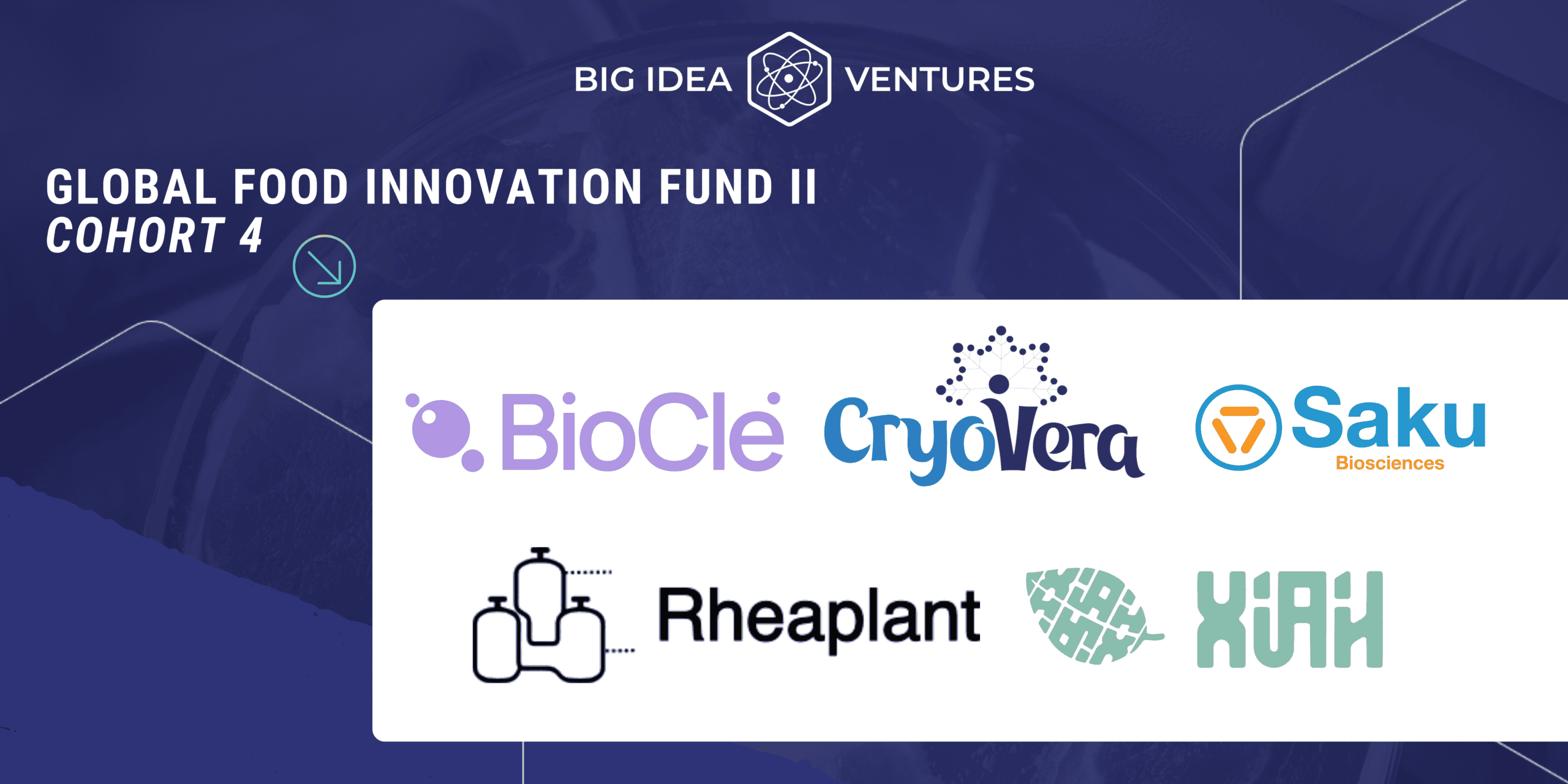 Big Idea Ventures