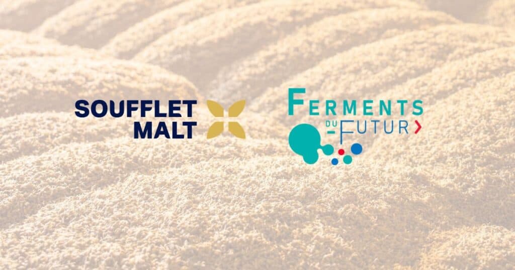 Malt Fermentation Explored as Route to Cocoa Alternatives in New French Research Project